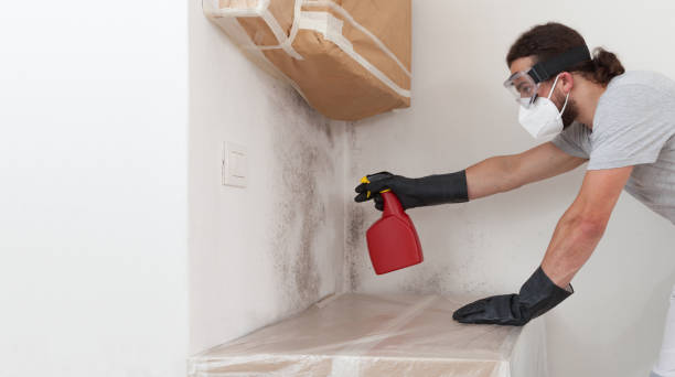 Professional Bathroom Mold Removal technician working in Fort Bragg, NC