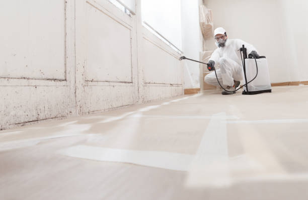 24/7 Emergency Bathroom Mold Removal experts in Fort Bragg, NC