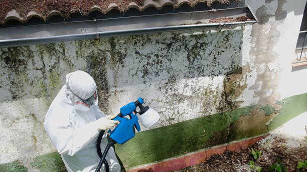 Top rated local Bathroom Mold Removal specialists in Fort Bragg, NC